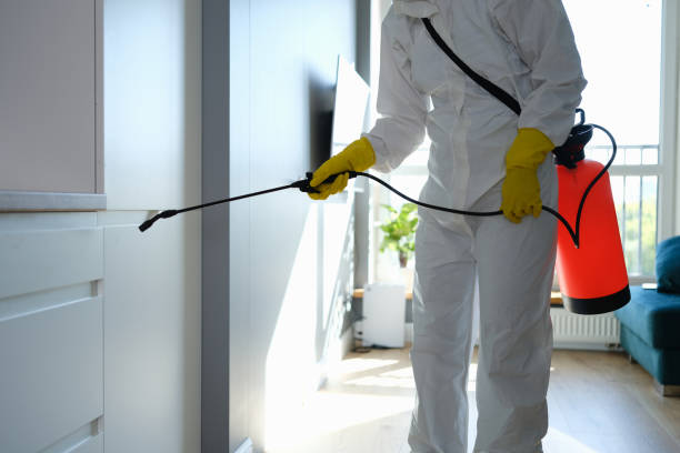 Best Toxic Mold Removal  in Sardinia, OH